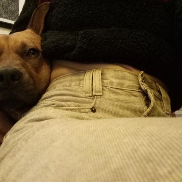 BDG Cream Carpenter cream Jeans - Picture 4 of 4